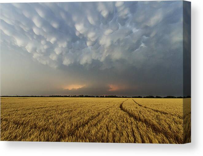 Kansas Canvas Print featuring the photograph Storm over wheat by Rob Graham