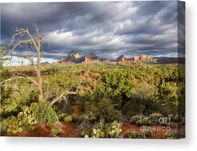 Red Rock Canvas Print featuring the photograph Stormy Sedona sunrise by Ken Brown