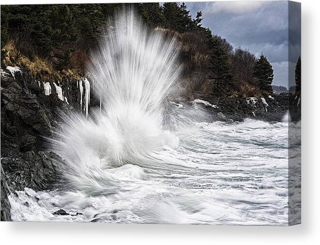 Straight Up Awesome Canvas Print featuring the photograph Straight Up Awesome by Marty Saccone