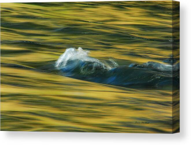 Water Canvas Print featuring the photograph Straight Up The Middle by Donna Blackhall