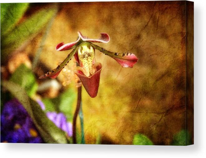 Flower Canvas Print featuring the photograph Stranger in the Garden by Joan Bertucci