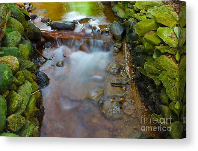 River Canvas Print featuring the photograph Streaming Green by Nina Silver