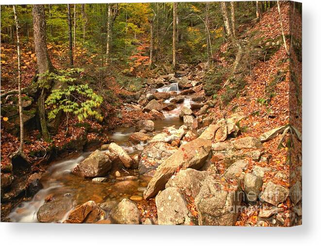 Franconia Notch Canvas Print featuring the photograph Streaming Through Franconia Notch by Adam Jewell