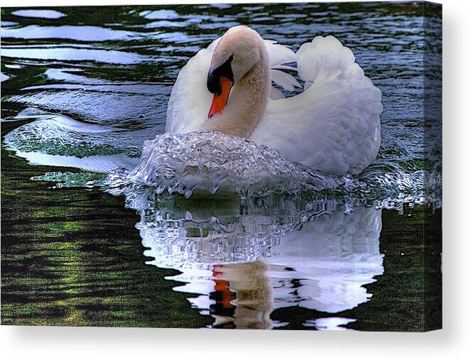 Swan Swimming Canvas Print featuring the photograph Strong Swimmer by Dennis Baswell