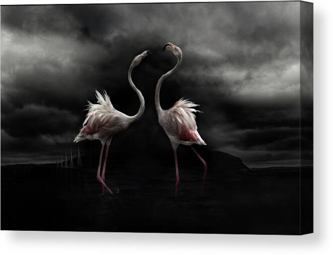 Sky Canvas Print featuring the photograph Strong Temperament by Martine Benezech