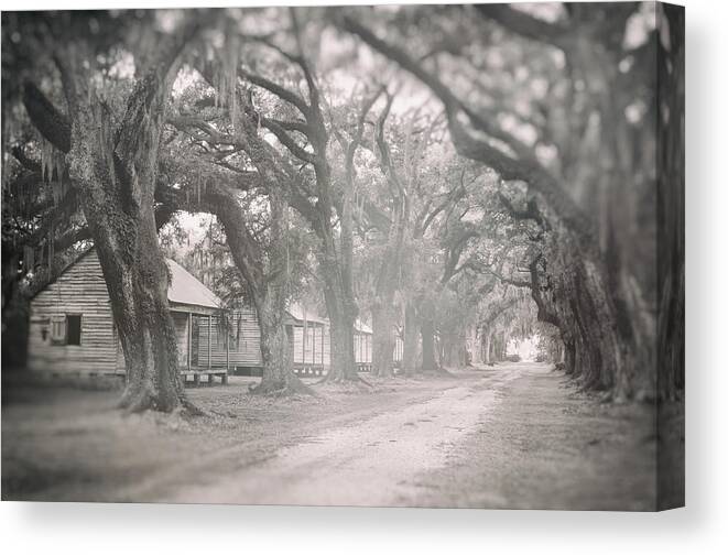 Architecture Canvas Print featuring the photograph Sugar Cane Plantation by Jim Shackett