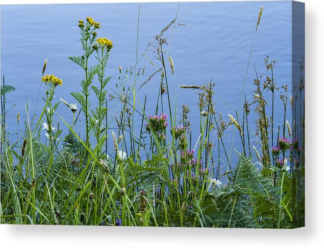 Wildflowers Canvas Print featuring the photograph Summer Bouquet by Belinda Greb