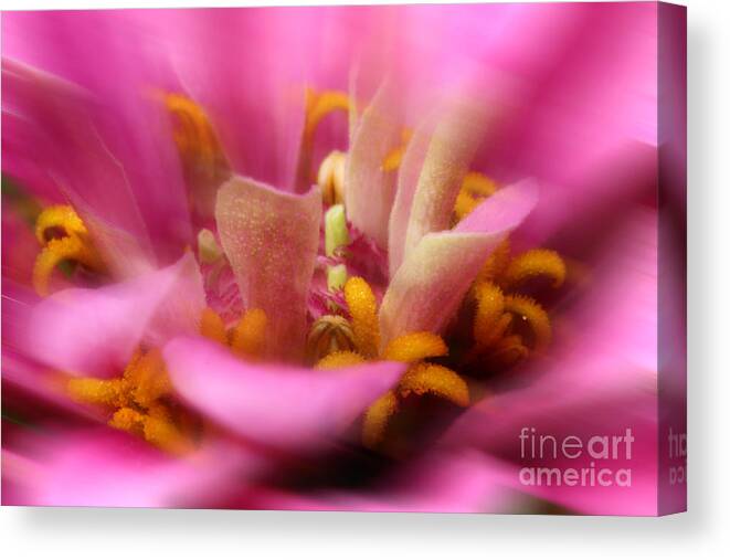 Zinnia Flower Canvas Print featuring the photograph Summer Breezes by Michael Eingle