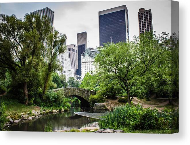 Central Park Canvas Print featuring the photograph Summer in Central Park by Sara Frank