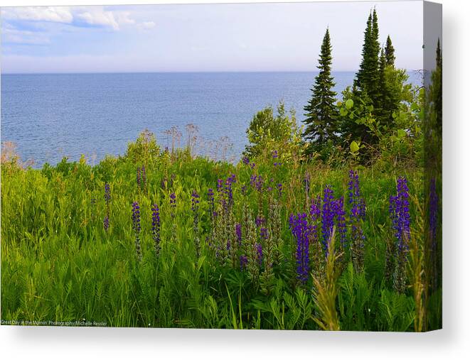 Landscape Canvas Print featuring the photograph Summer lake view by Michelle Ressler