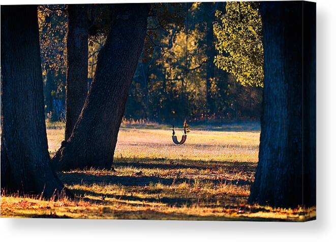 Swing Canvas Print featuring the photograph Summers End by Mark McKinney