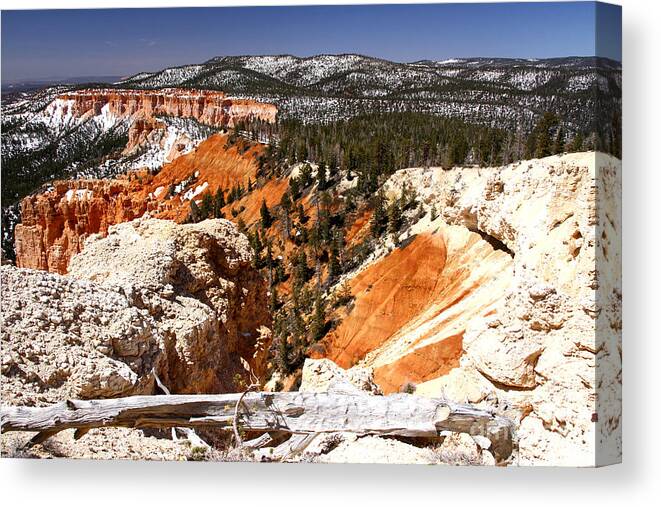 Bryce Canyon Canvas Print featuring the photograph Sun and Snow Bryce Canyon by Butch Lombardi