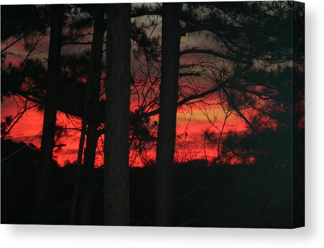 Scenic Canvas Print featuring the photograph Sun Going Down by Dick Willis