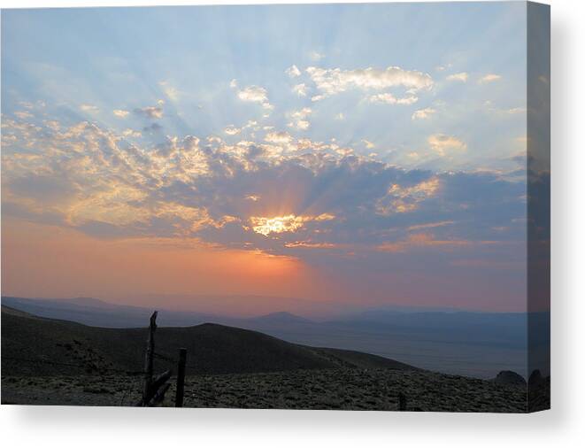 Sun Canvas Print featuring the photograph sun rays II by Darcy Tate
