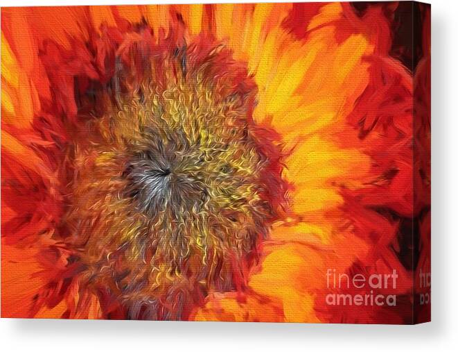 Santa Canvas Print featuring the painting Sunflower LV by Charles Muhle