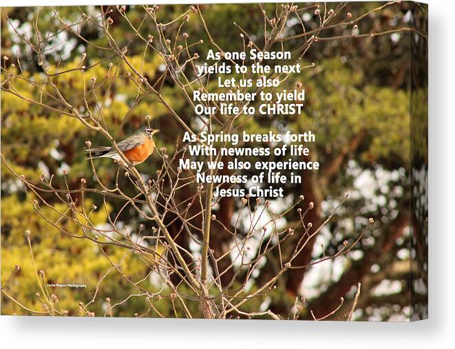 Robin Canvas Print featuring the photograph Sunlight On Robin with Poetry by Lorna Rose Marie Mills DBA Lorna Rogers Photography