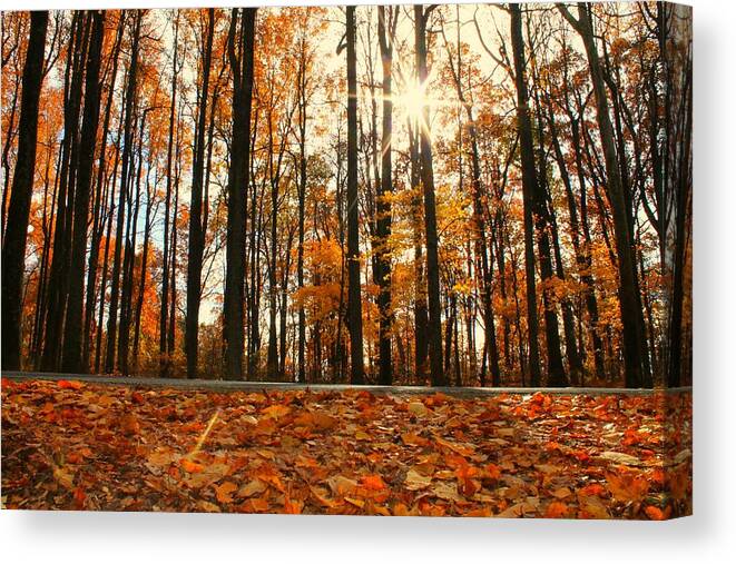 Autumn Canvas Print featuring the photograph Sunny Fall Day by Candice Trimble