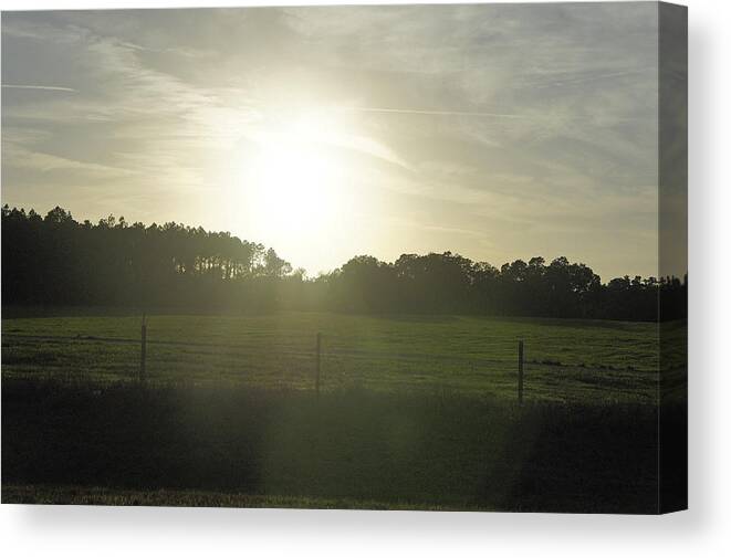 Withlacoochee Forest Canvas Print featuring the photograph Sunrays on a Back Road by Laurie Perry
