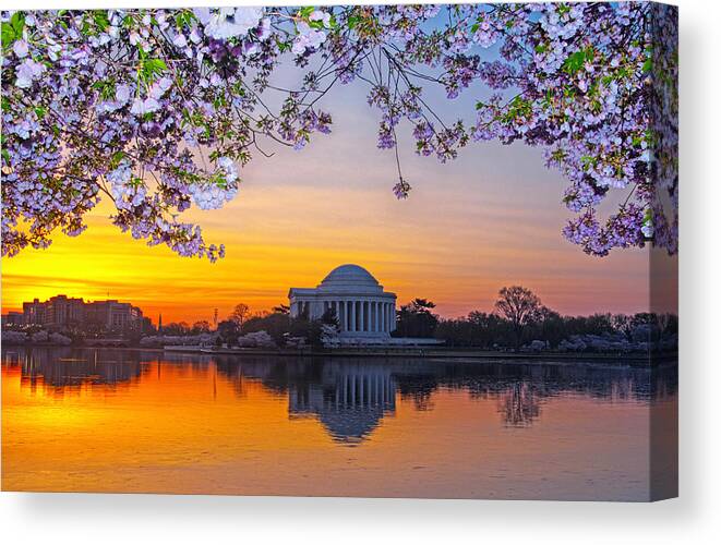 Cherry Blossoms Canvas Print featuring the photograph Sunrise A Day Past Peak by Steven Barrows