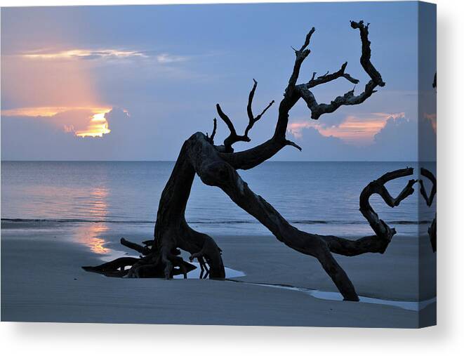 Beach Photographs Canvas Print featuring the photograph Sunrise at Driftwood Beach 7.1 by Bruce Gourley