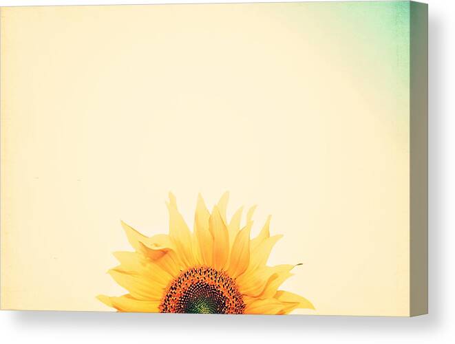 Summer Canvas Print featuring the photograph Sunrise by Carrie Ann Grippo-Pike
