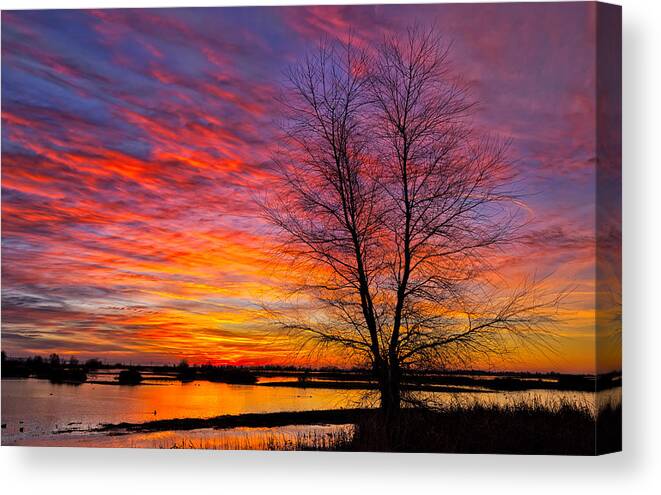 Wetland Canvas Print featuring the photograph Sunrise in the Sacramento Valley by Kathleen Bishop
