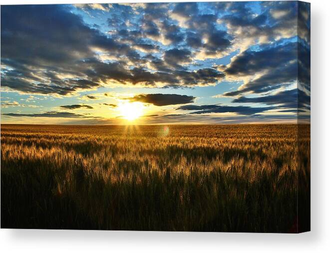 Sunrise Canvas Print featuring the photograph Sunrise on the wheat field by Lynn Hopwood