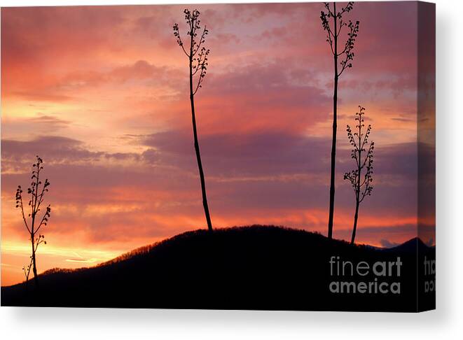 Great Smoky Mountains Canvas Print featuring the digital art Sunrise over the Great Smoky Mountains by Glenn Morimoto