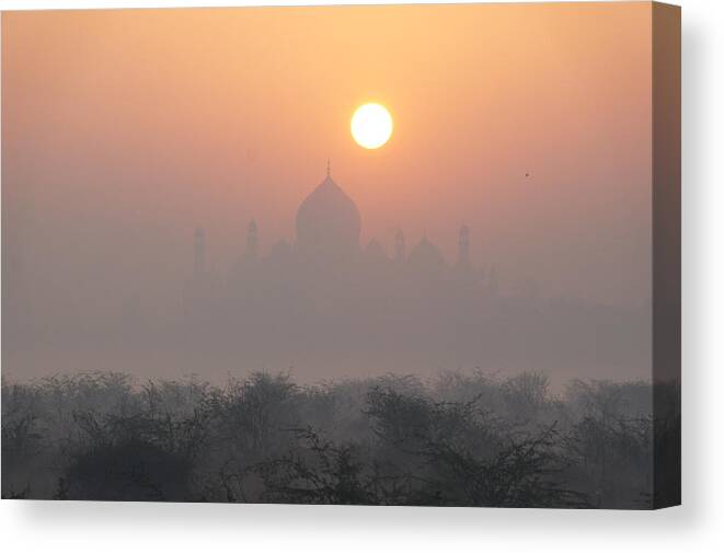 Taj Mahal Canvas Print featuring the photograph Sunrise over the Taj by Elena Perelman