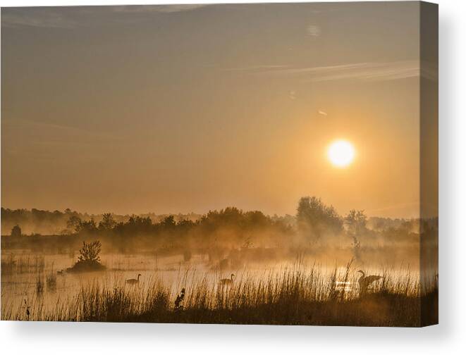 Sunrise Canvas Print featuring the photograph Sunrise With The Geese by Beth Sawickie