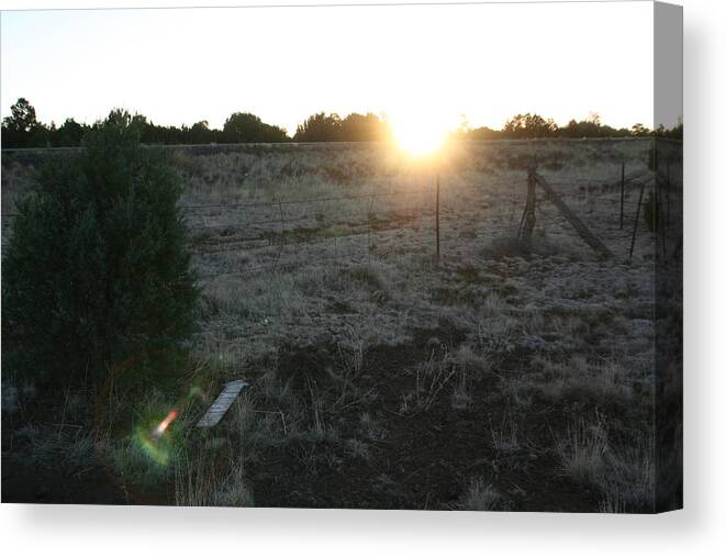 Fence Canvas Print featuring the photograph Sunrize by David S Reynolds