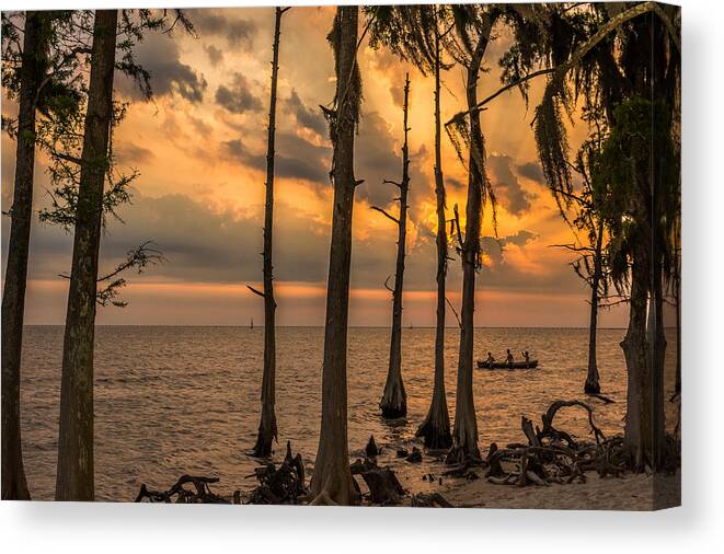 Landscape Canvas Print featuring the photograph Sunset Among The Cypress by Brad Monnerjahn