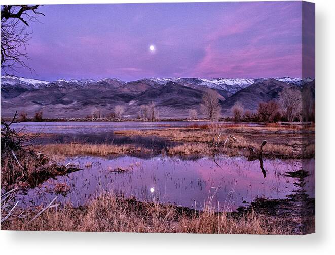 Sunset Canvas Print featuring the photograph Sunset and Moonrise at Farmers Pond by Cat Connor