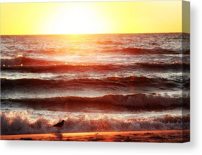 Sunset Canvas Print featuring the photograph Sunset Beach by Daniel George