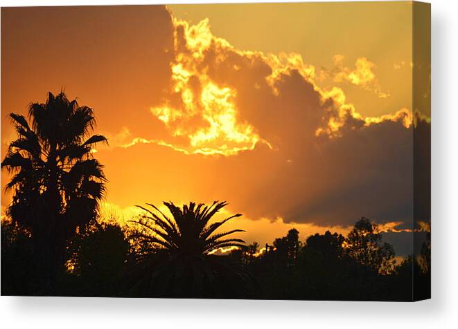 Scenic Canvas Print featuring the photograph Sunset Behind the Palms by AJ Schibig