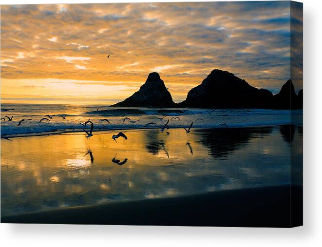 Nature Photography Canvas Print featuring the photograph Sunset Flight by Bonnie Bruno