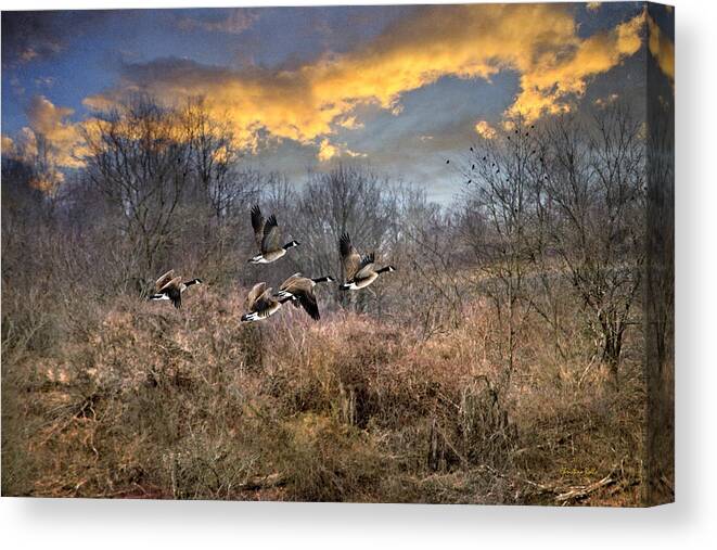 Sunset Canvas Print featuring the photograph Sunset Geese by Christina Rollo