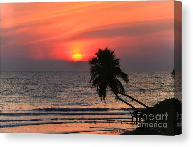Sun Canvas Print featuring the photograph Sunset  Gulf of Mexico  Naples Florida by Elaine Manley