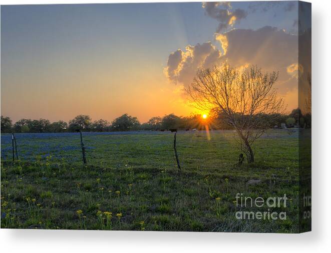 Landscape Canvas Print featuring the photograph Sunset over Poteet Texas by Cathy Alba