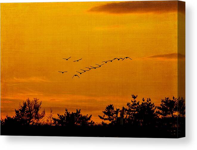 Orange Canvas Print featuring the photograph Sunset Silhouettes by Cathy Kovarik