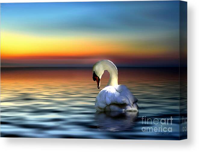 Swan Canvas Print featuring the photograph Sunset Swan by Stephanie Laird