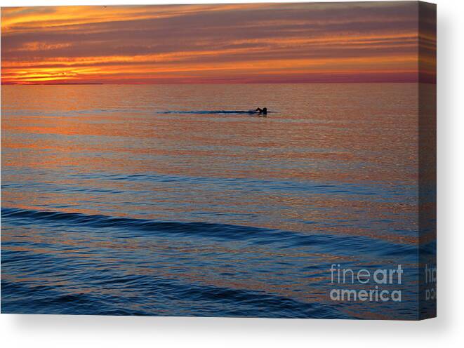 Sunset Canvas Print featuring the photograph Sunset Swimmer by Maria Janicki