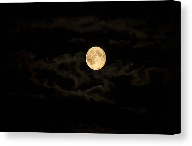 Moon Canvas Print featuring the photograph Super Moon by Spikey Mouse Photography