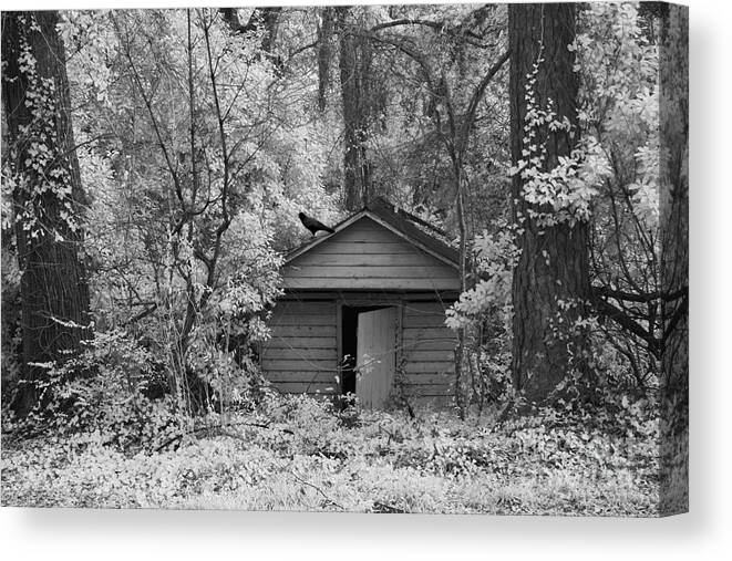 Surreal Infrared Landscape Canvas Print featuring the photograph Sureal Gothic Infrared Woodlands Haunting Spooky Eerie Old Building With Black Ravens by Kathy Fornal
