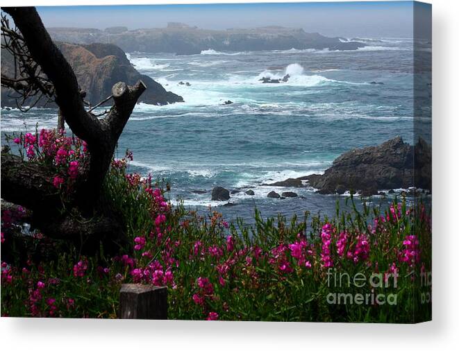 Surf And Turf Canvas Print featuring the photograph Surf and Turf by Patrick Witz