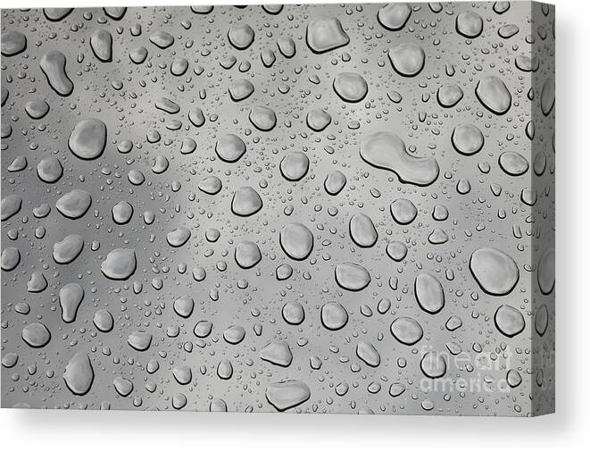 Water Canvas Print featuring the photograph Surface Tension by Scott Kerrigan