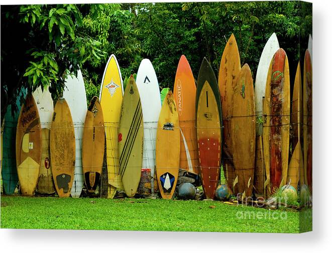 Surf Board Canvas Print featuring the photograph Surfboard Fence Maui by Bob Christopher