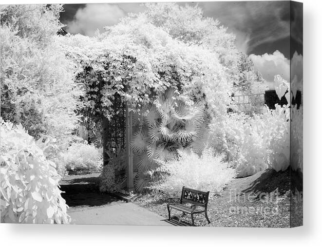 Surreal Dreamy Ethereal Black and White Infrared Garden Landscape