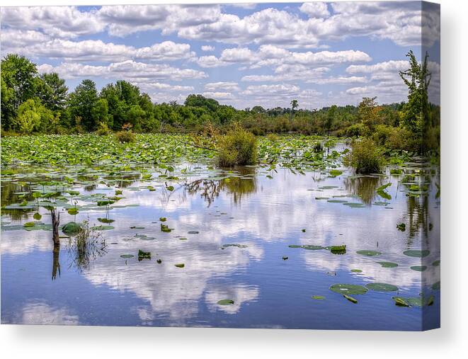 Swamp Canvas Print featuring the photograph Swamp Cloud Reflections by Brett Engle