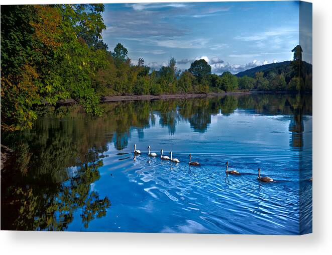 Landscape Canvas Print featuring the photograph Swanny River by Karol Livote